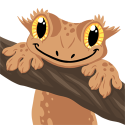 squishygecko